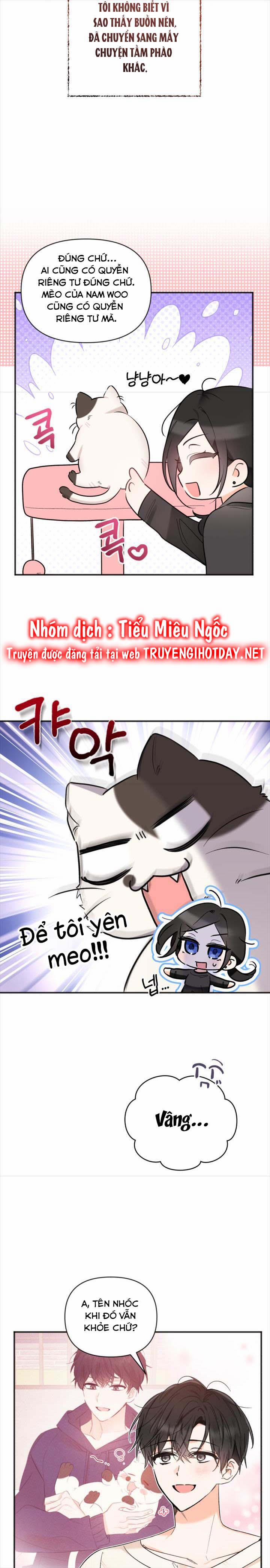 Dịch Vụ Chuyển Phát Hình Mẫu Lý Tưởng 90 trang 0