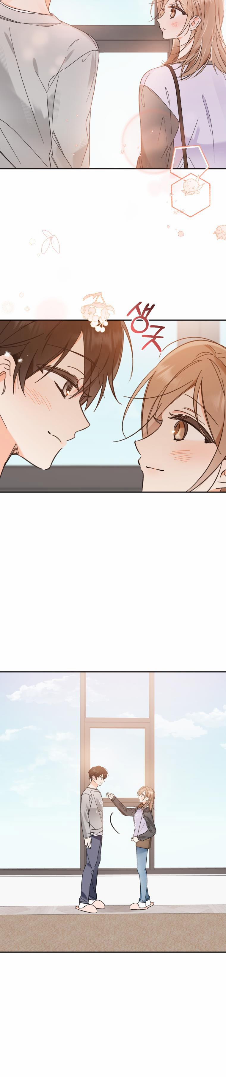 Dịch Vụ Chuyển Phát Hình Mẫu Lý Tưởng 92 trang 11