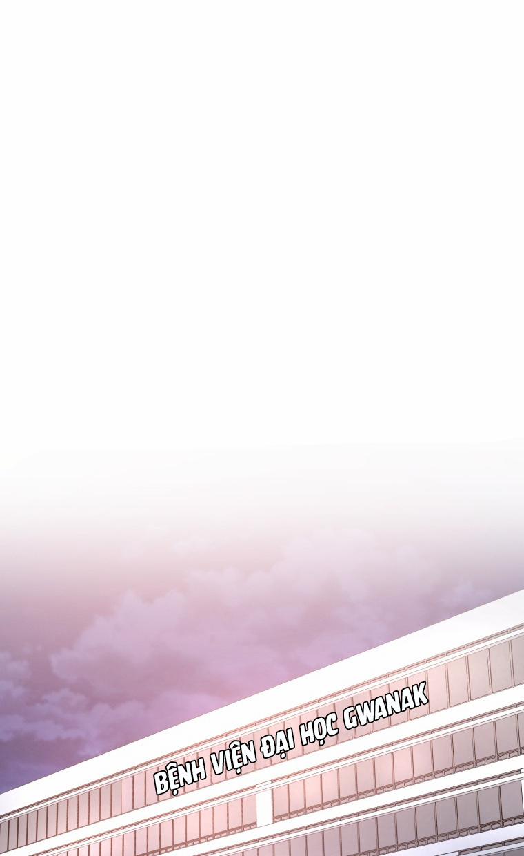 Dịch Vụ Chuyển Phát Hình Mẫu Lý Tưởng 97 trang 3