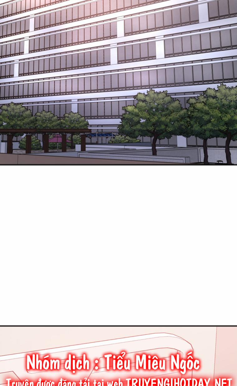 Dịch Vụ Chuyển Phát Hình Mẫu Lý Tưởng 97 trang 4