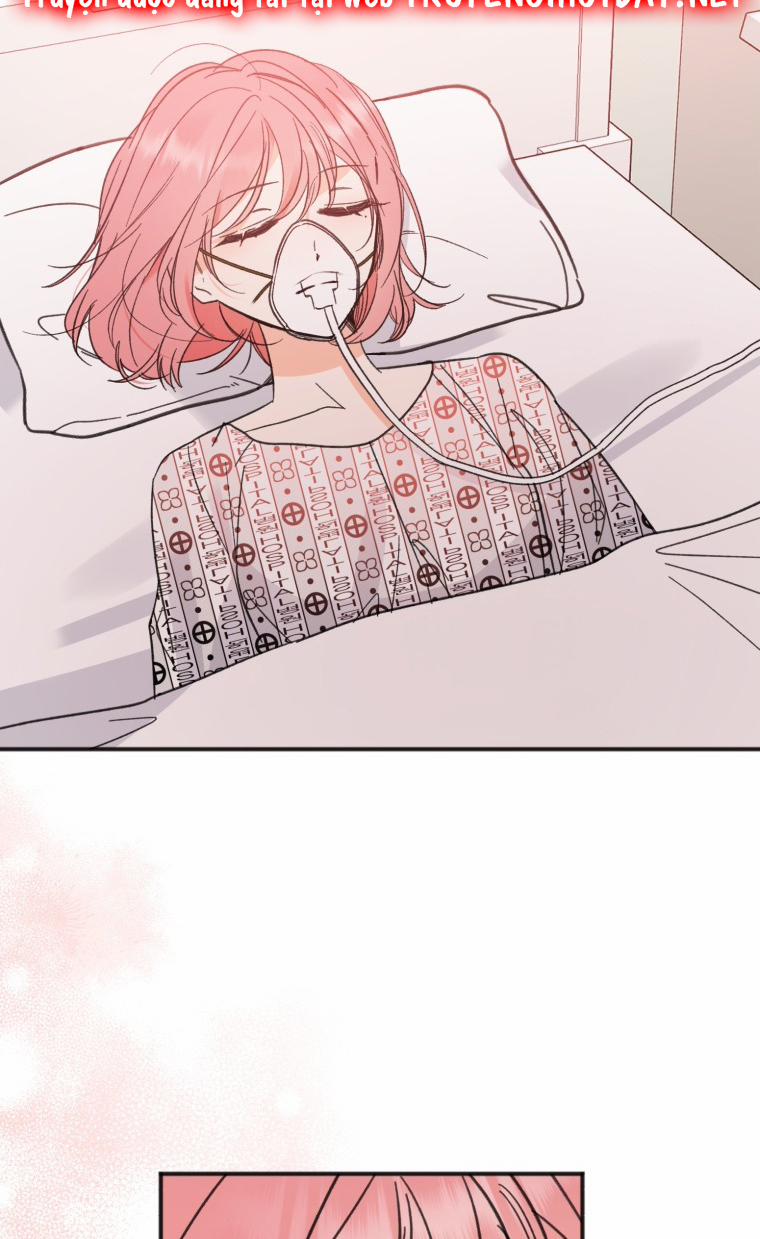 Dịch Vụ Chuyển Phát Hình Mẫu Lý Tưởng 97 trang 5