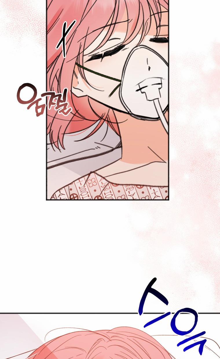 Dịch Vụ Chuyển Phát Hình Mẫu Lý Tưởng 97 trang 6