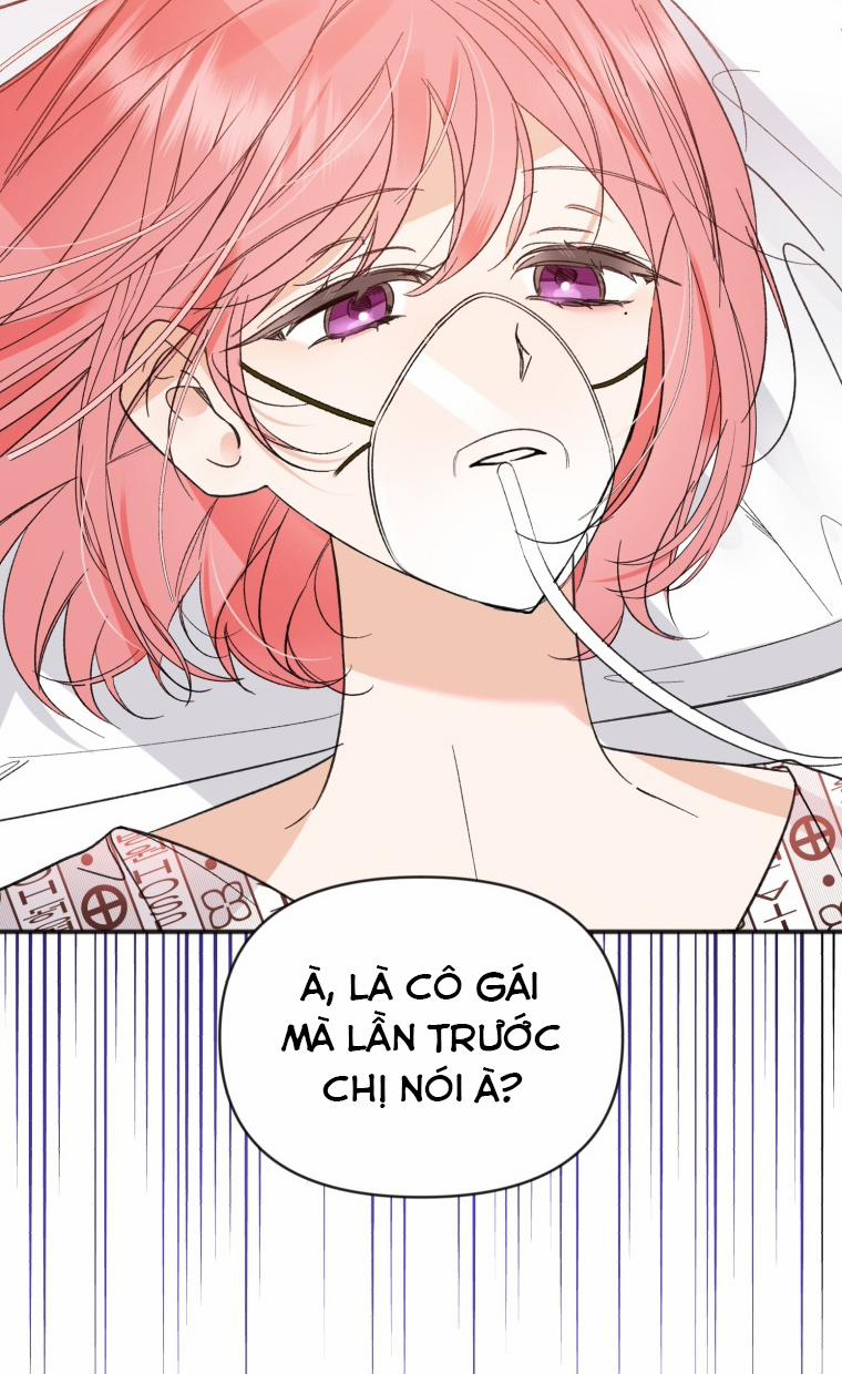 Dịch Vụ Chuyển Phát Hình Mẫu Lý Tưởng 97 trang 7