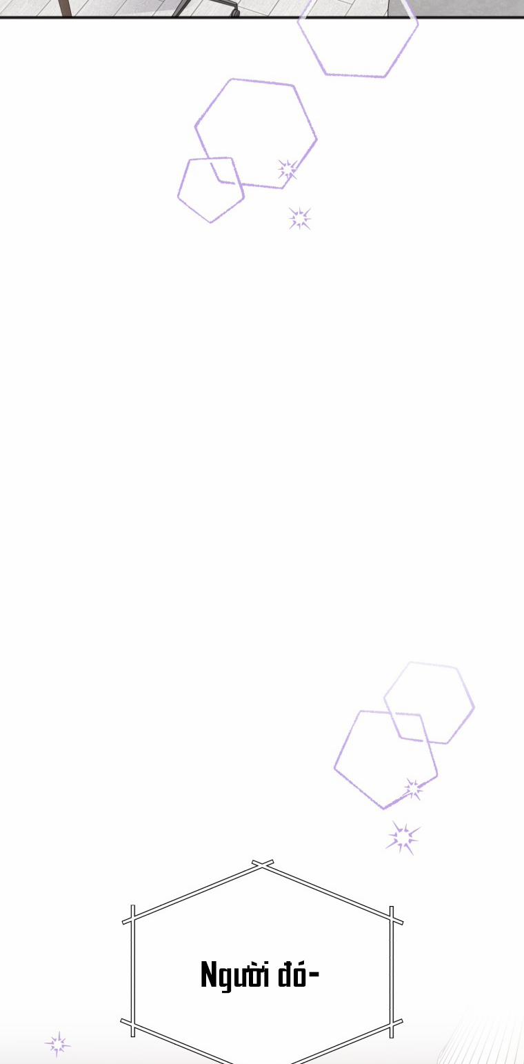 Dịch Vụ Chuyển Phát Hình Mẫu Lý Tưởng 98 trang 13