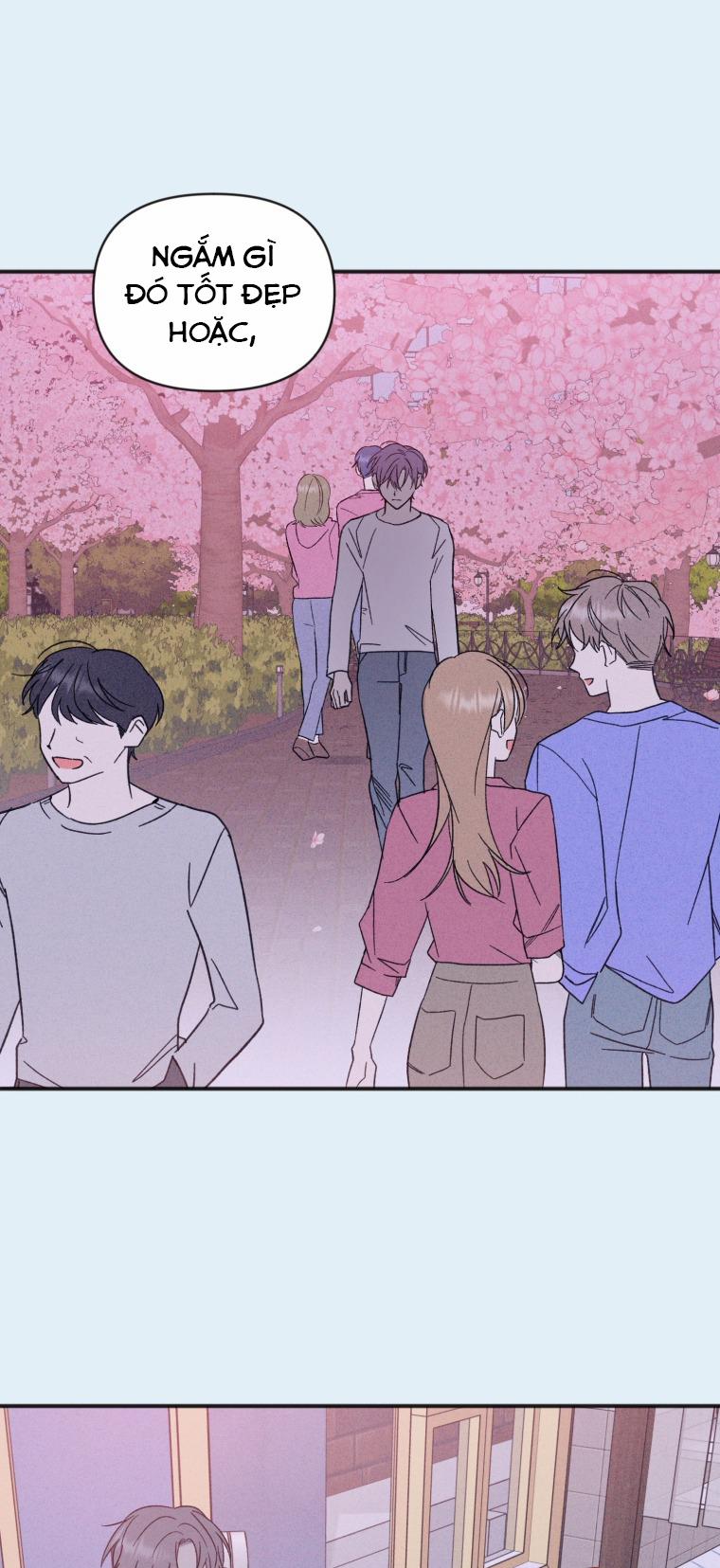 Dịch Vụ Chuyển Phát Hình Mẫu Lý Tưởng 98 trang 20