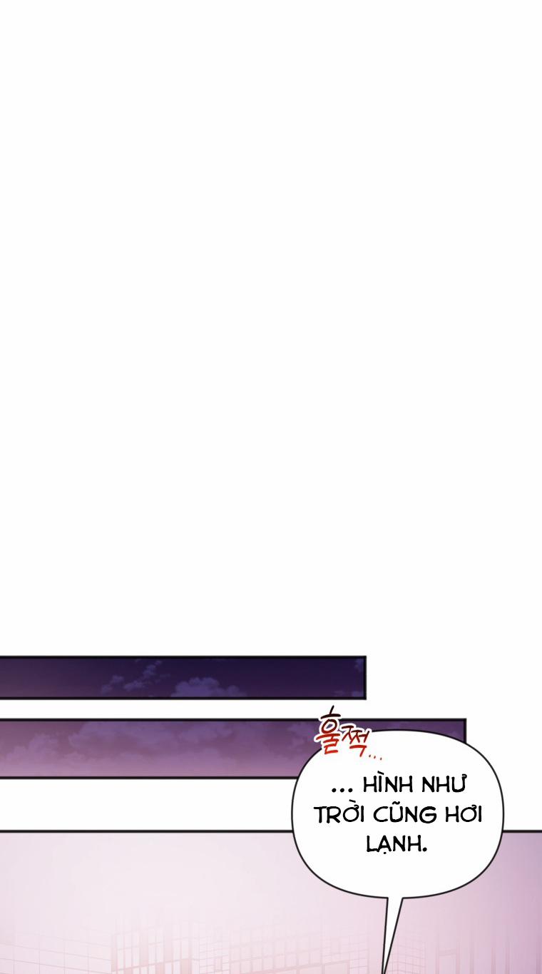 Dịch Vụ Chuyển Phát Hình Mẫu Lý Tưởng 98 trang 39