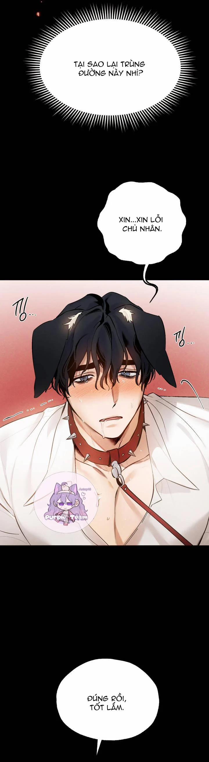 Dịch Vụ Giới Bảo Mật 15 trang 8