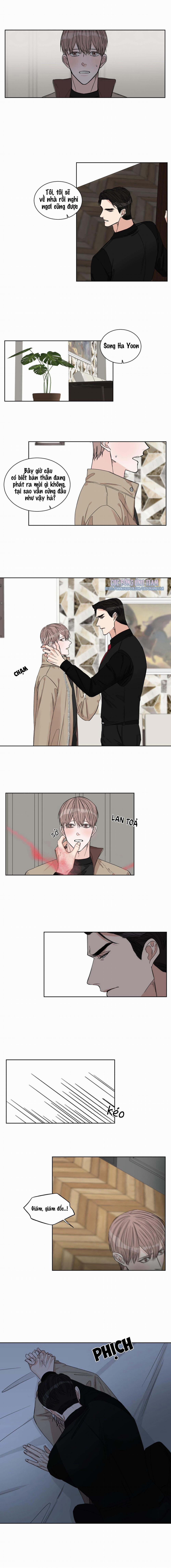 Điểm Dừng Chân Cuối Cùng 11 trang 4