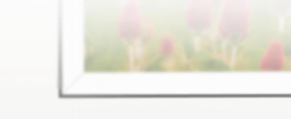 Điểm Dừng Chân Cuối Cùng 34 trang 56