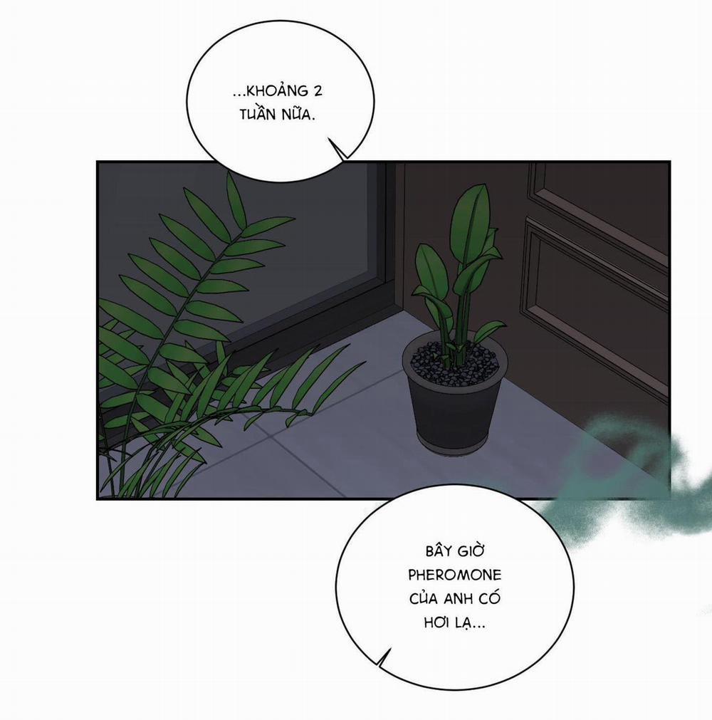 Điểm Dừng Chân Cuối Cùng 60 trang 33