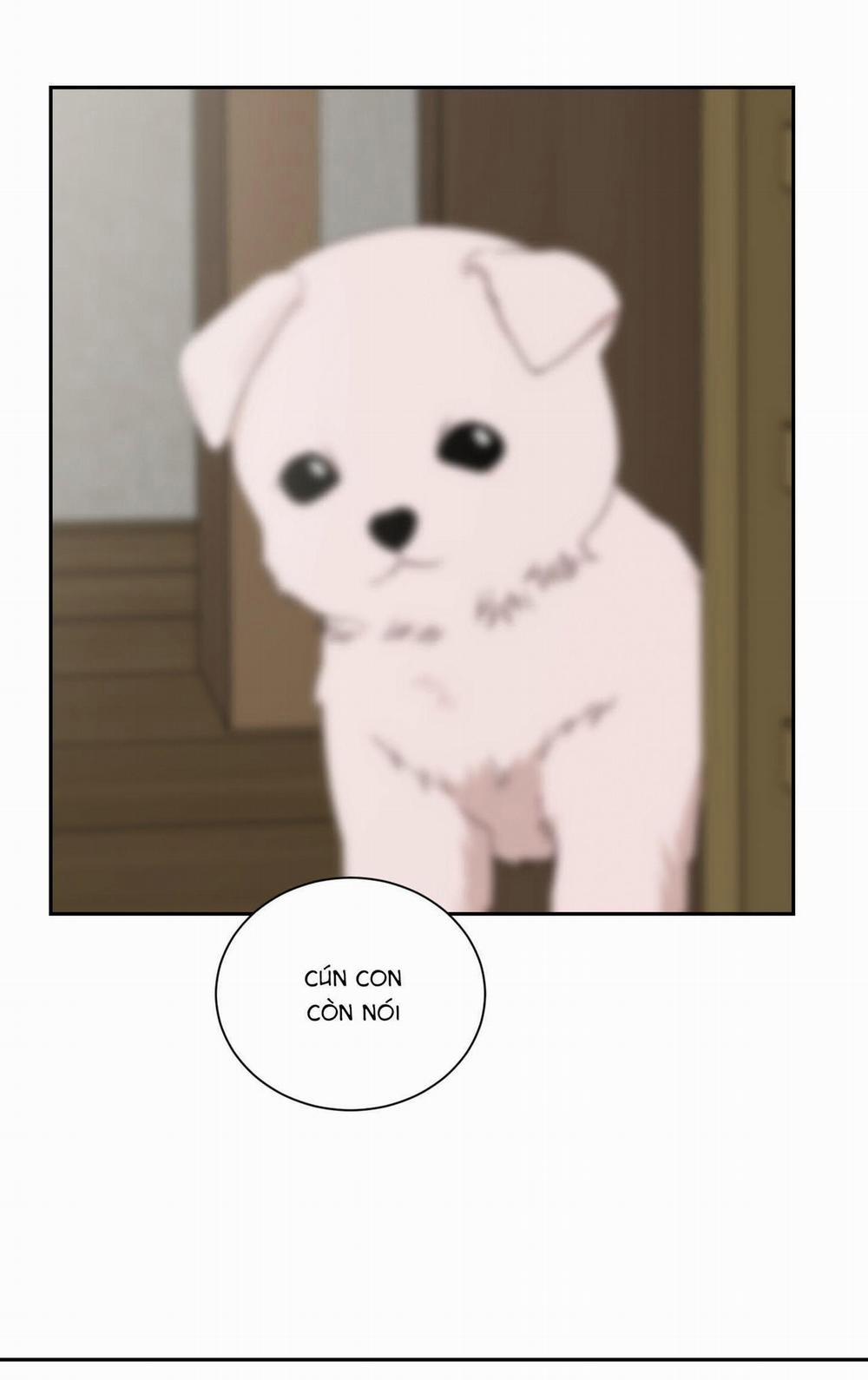 Điểm Dừng Chân Cuối Cùng 62 trang 63