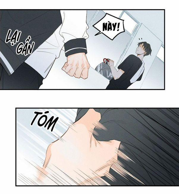 Diêm Hữu 1 trang 13