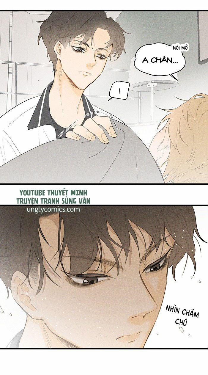 Diêm Hữu 19 trang 15