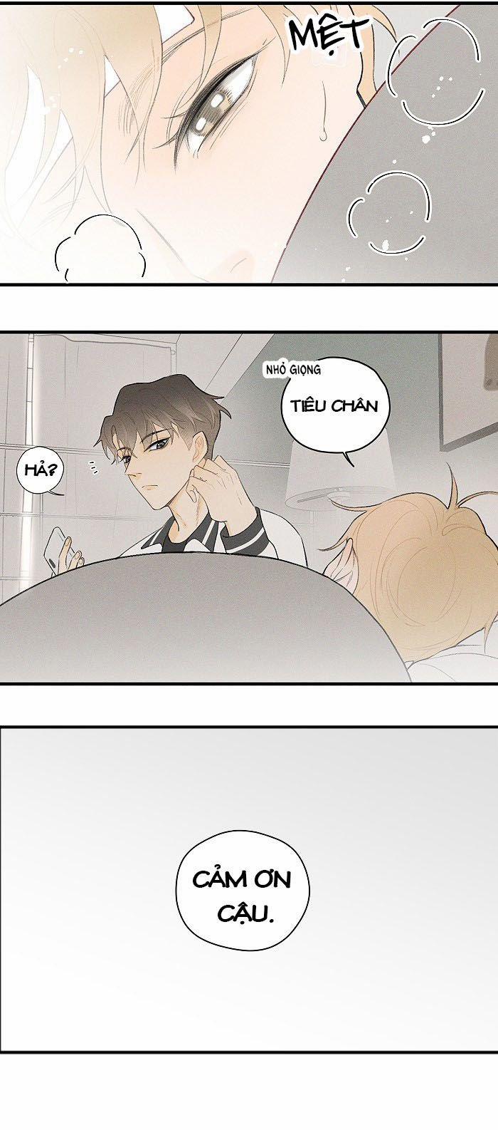 Diêm Hữu 19 trang 8