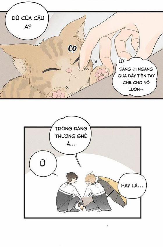 Diêm Hữu 21 trang 10