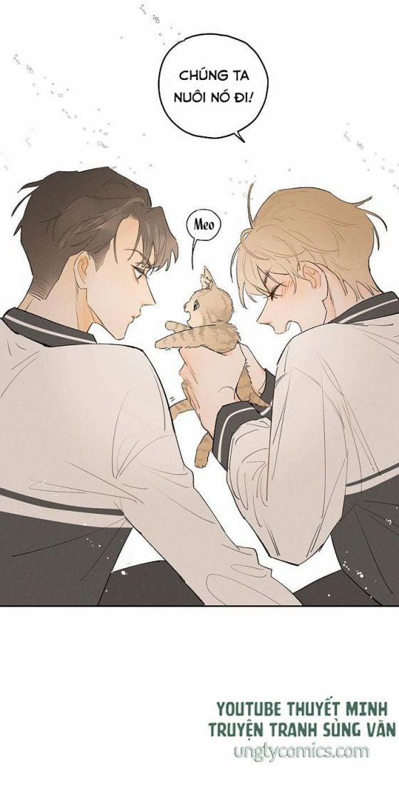 Diêm Hữu 21 trang 11