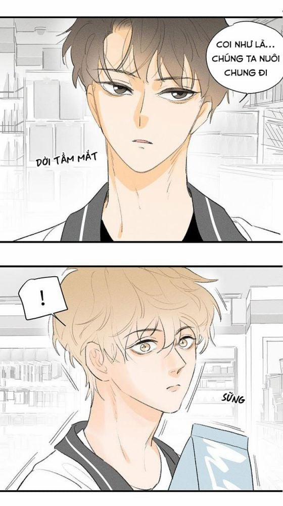 Diêm Hữu 22 trang 12