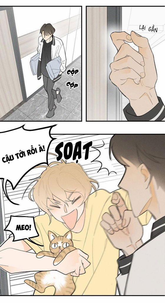 Diêm Hữu 24 trang 17