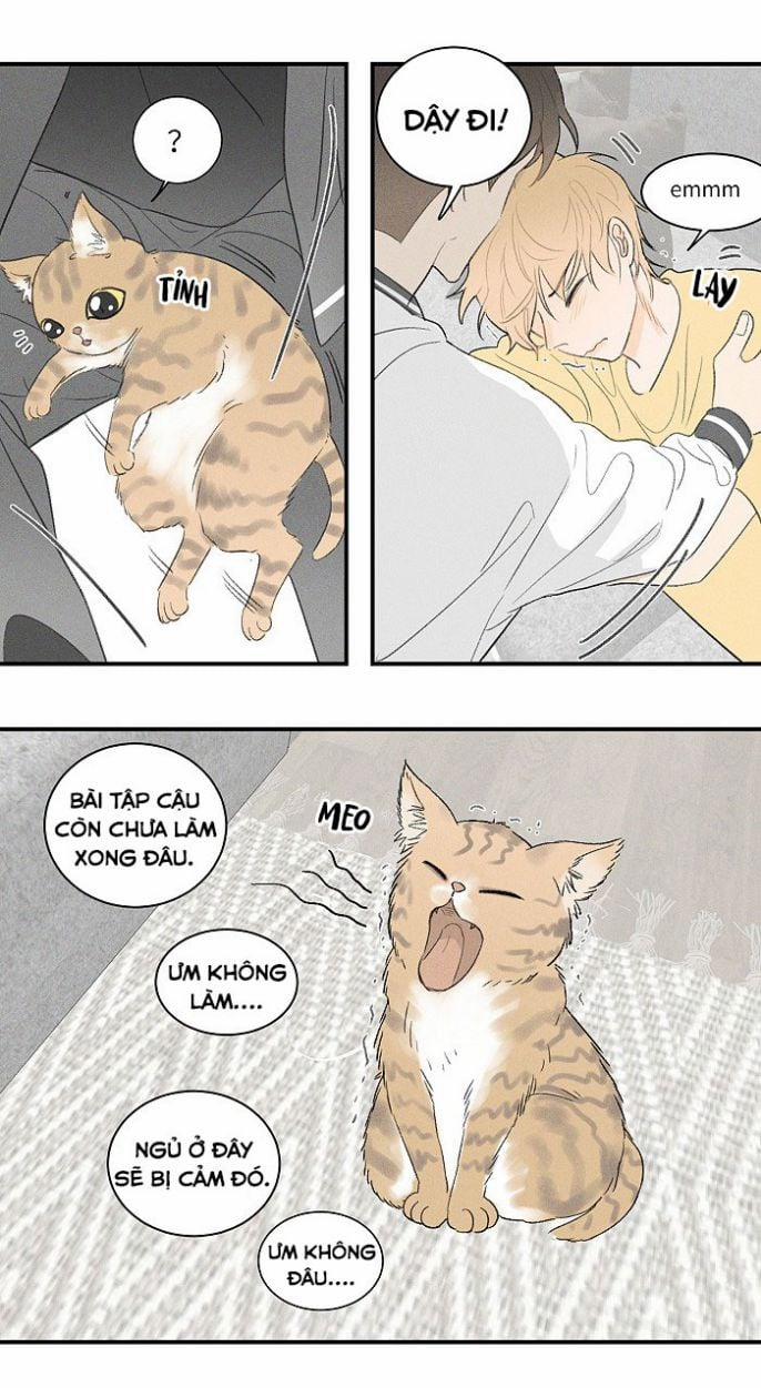 Diêm Hữu 25 trang 16