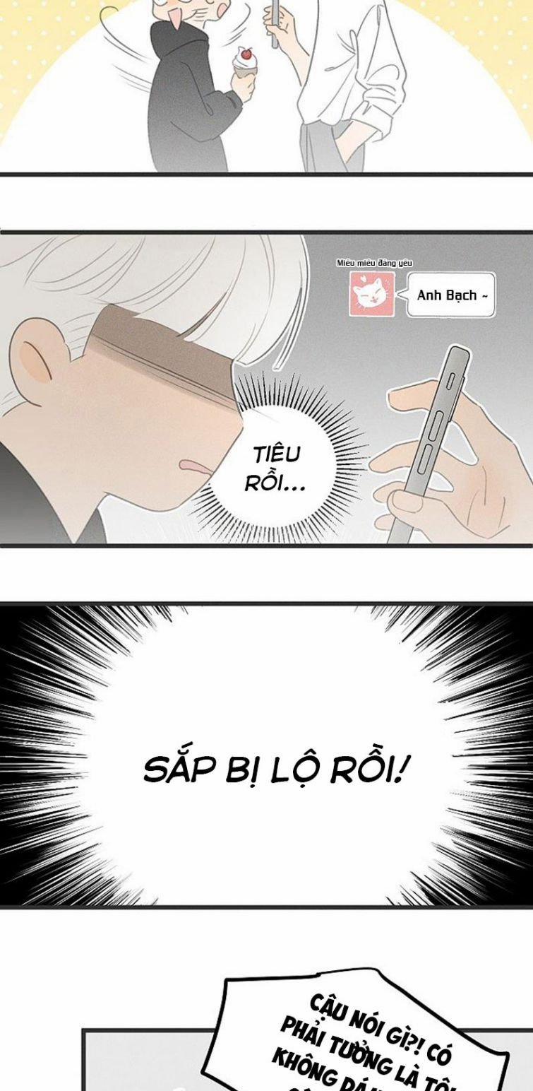 Diêm Hữu 40 trang 3