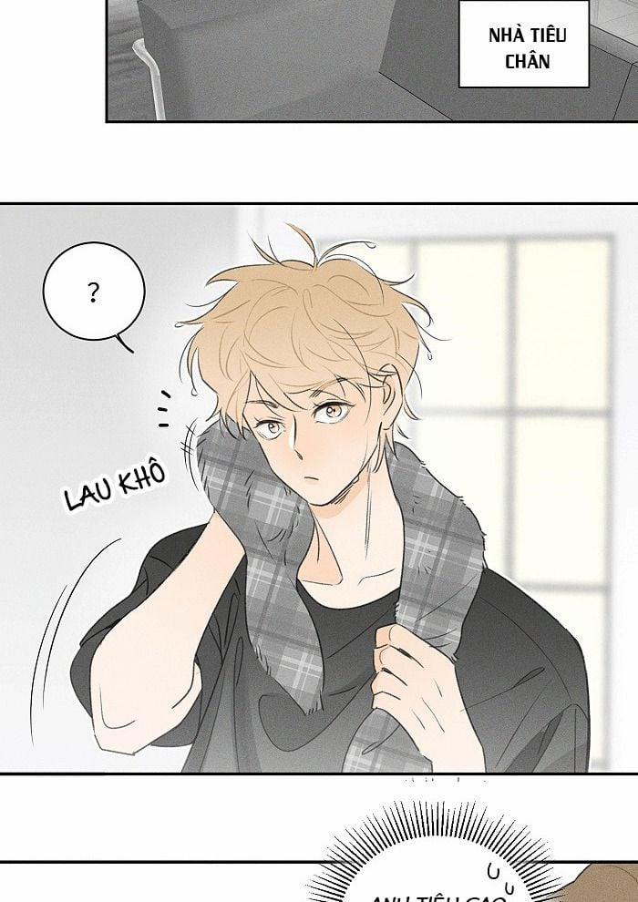 Diêm Hữu 41 trang 13