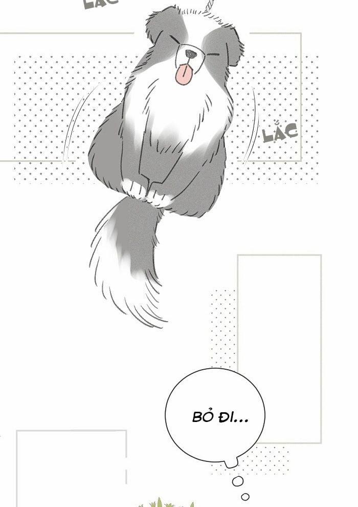 Diêm Hữu 41 trang 40