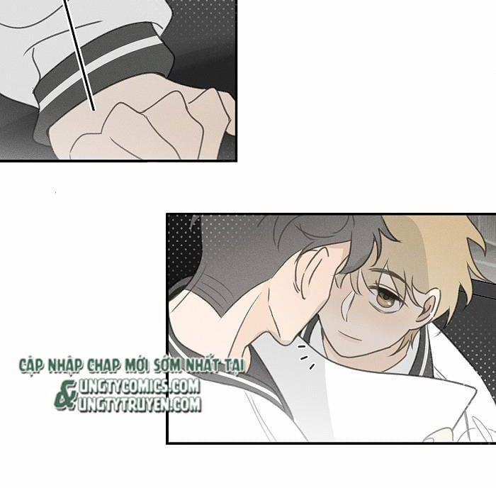 Diêm Hữu 44 trang 29