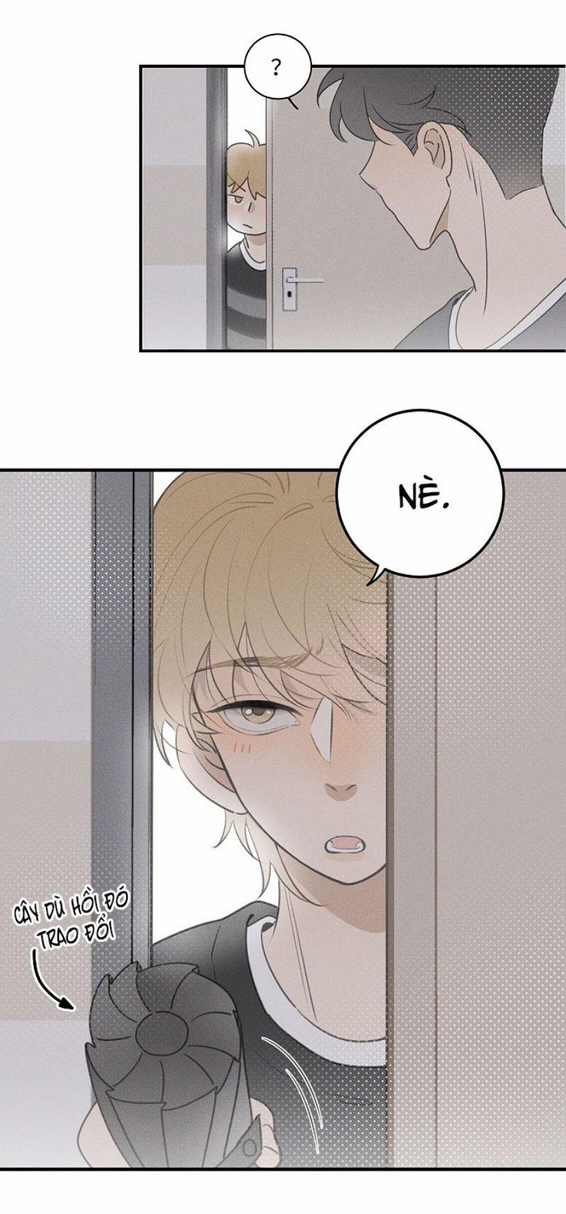 Diêm Hữu 47 trang 29