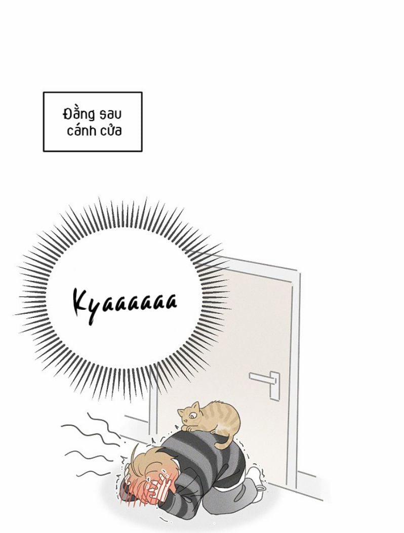 Diêm Hữu 47 trang 33