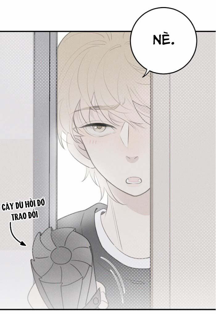 Diêm Hữu 48 trang 2