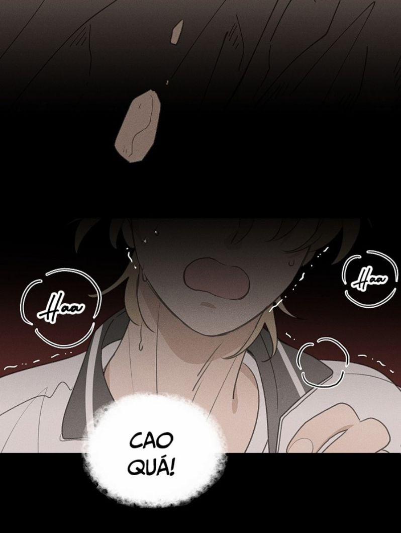 Diêm Hữu 49 trang 19