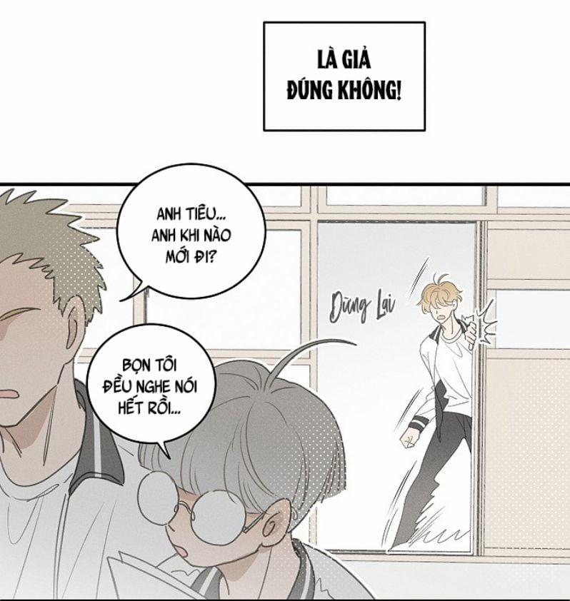 Diêm Hữu 49 trang 8