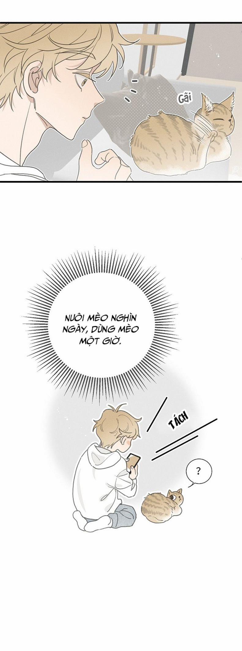 Diêm Hữu 51 trang 11