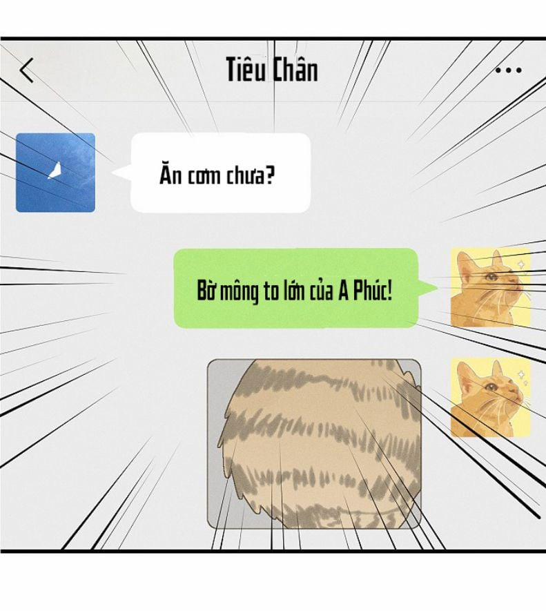 Diêm Hữu 51 trang 13