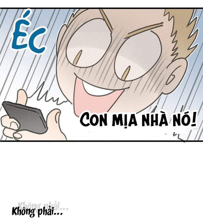 Diêm Hữu 51 trang 14