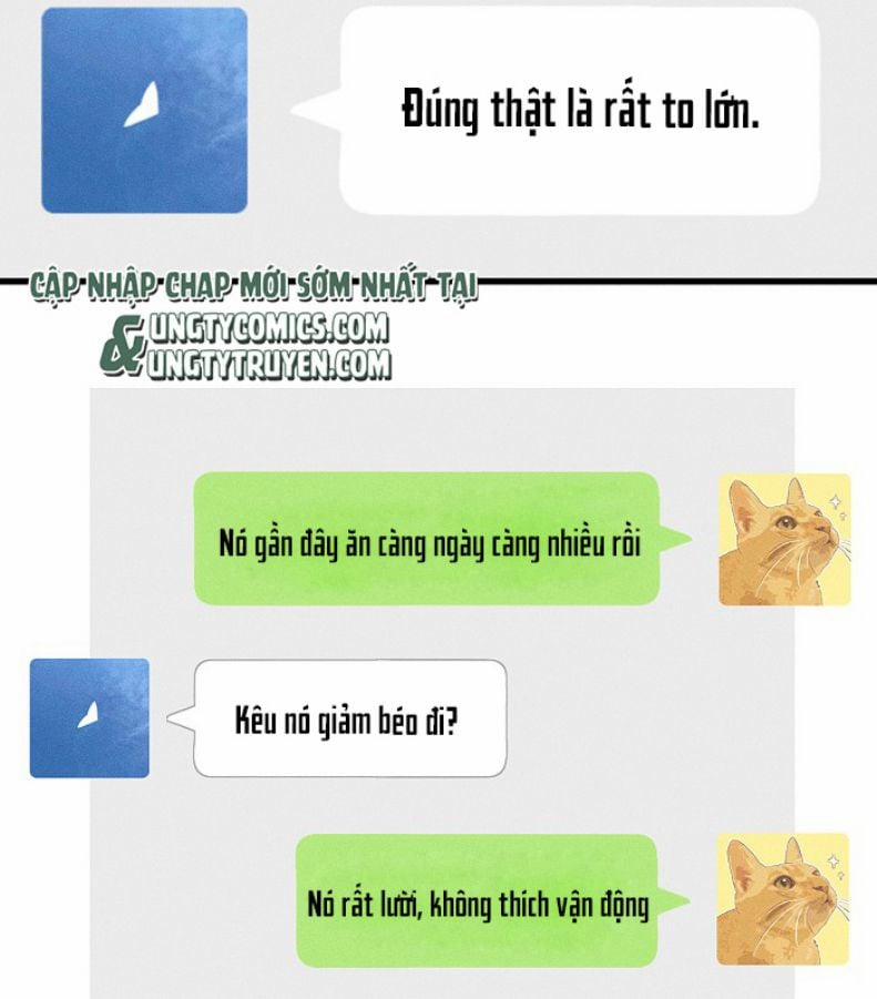 Diêm Hữu 51 trang 16