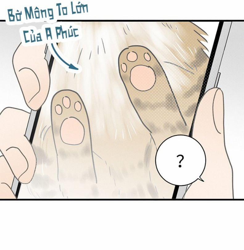 Diêm Hữu 51 trang 29