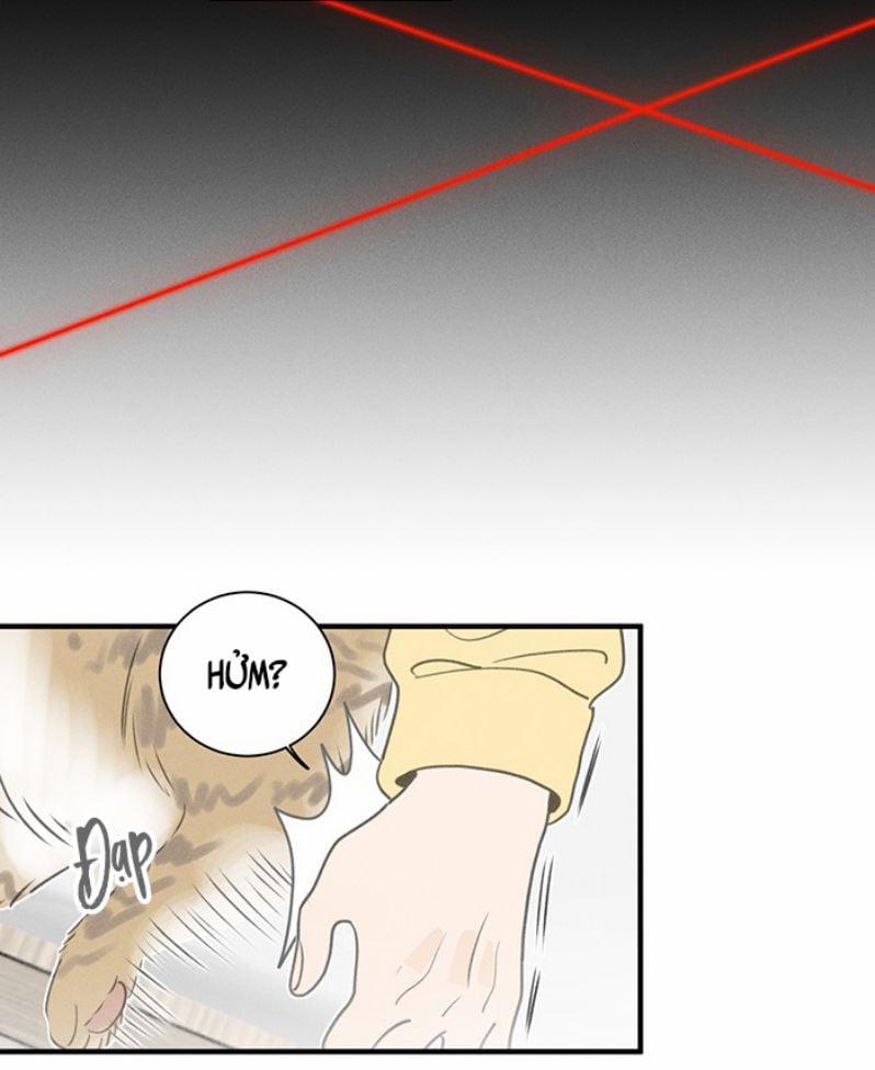 Diêm Hữu 52 trang 19