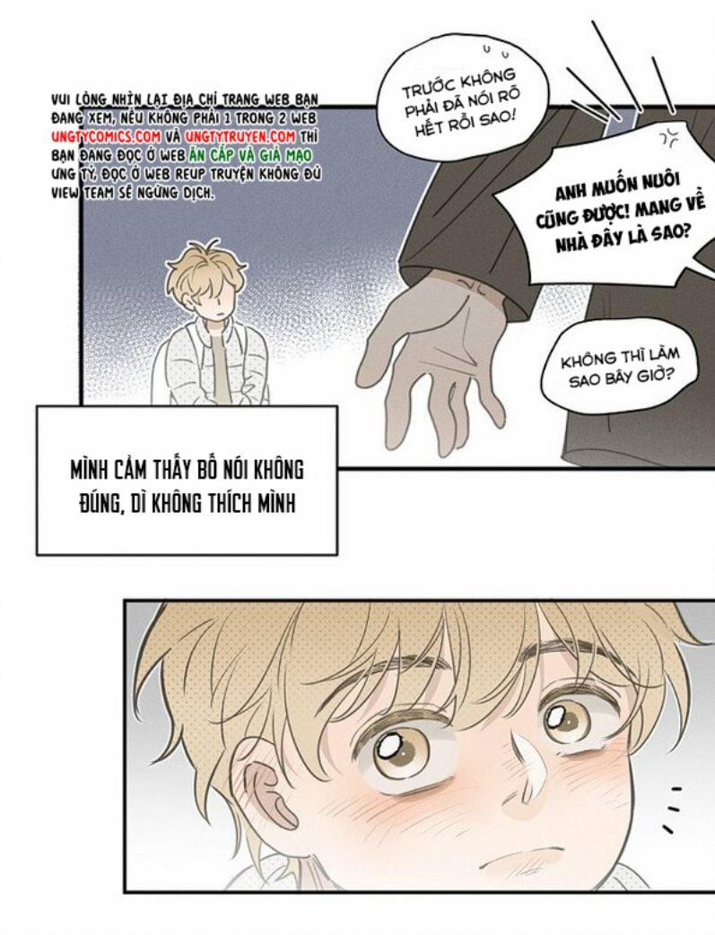 Diêm Hữu 55 trang 13