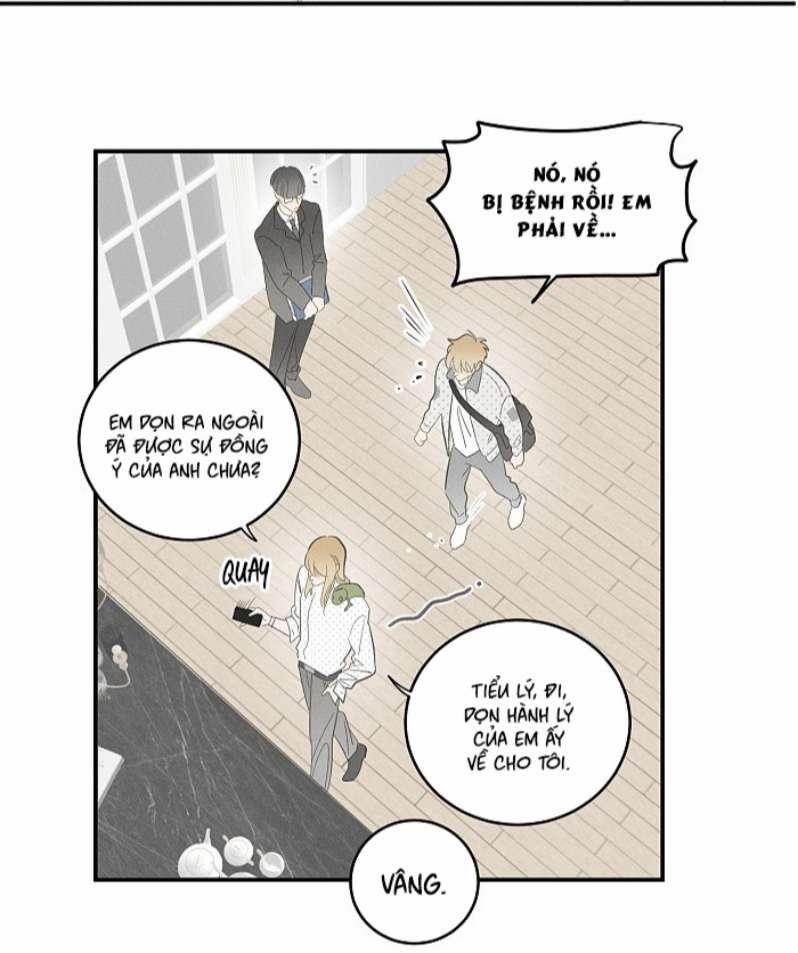 Diêm Hữu 56 trang 8