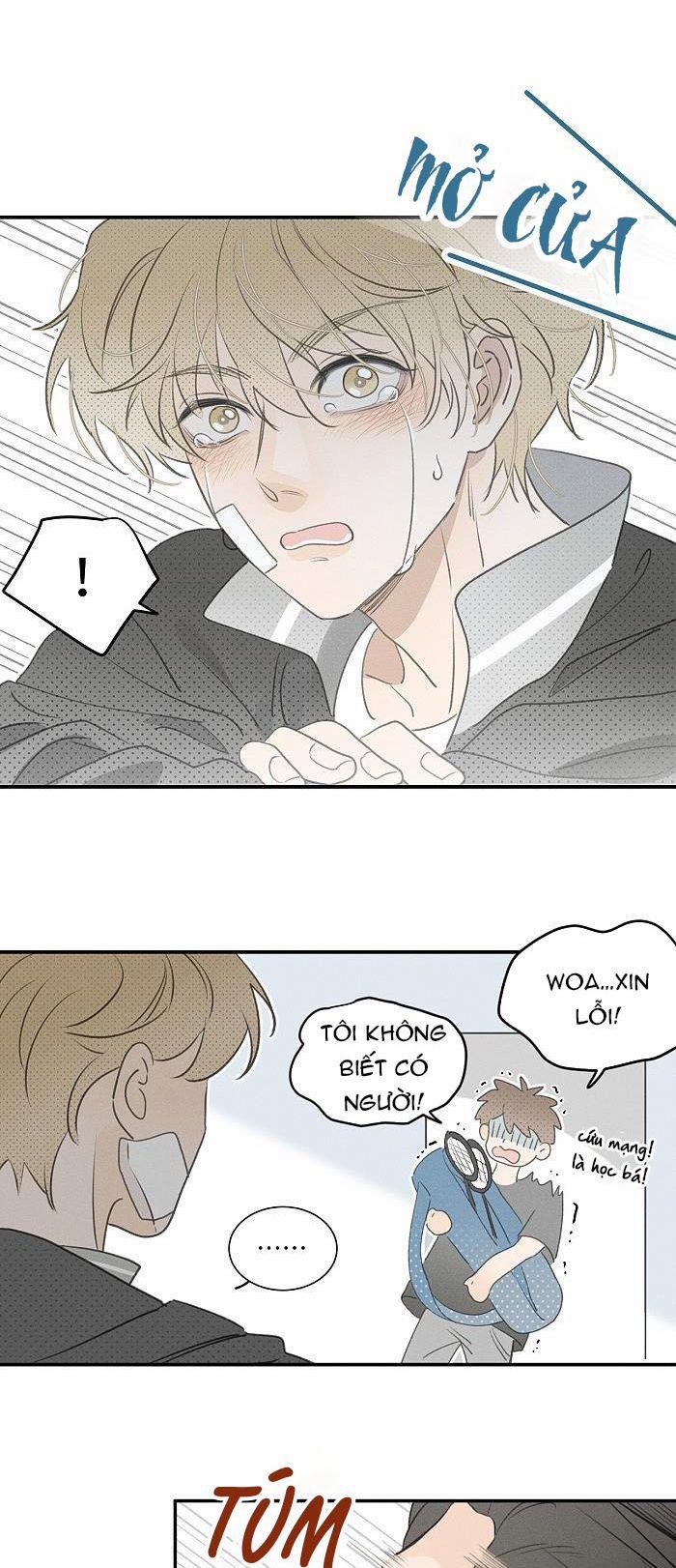 Diêm Hữu 58 trang 16