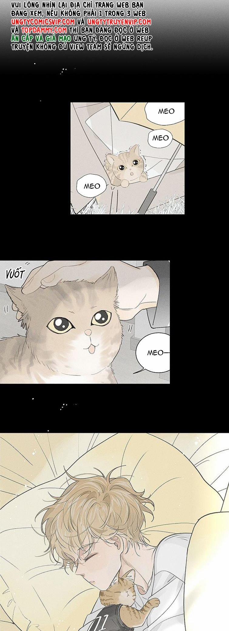 Diêm Hữu 60 trang 21