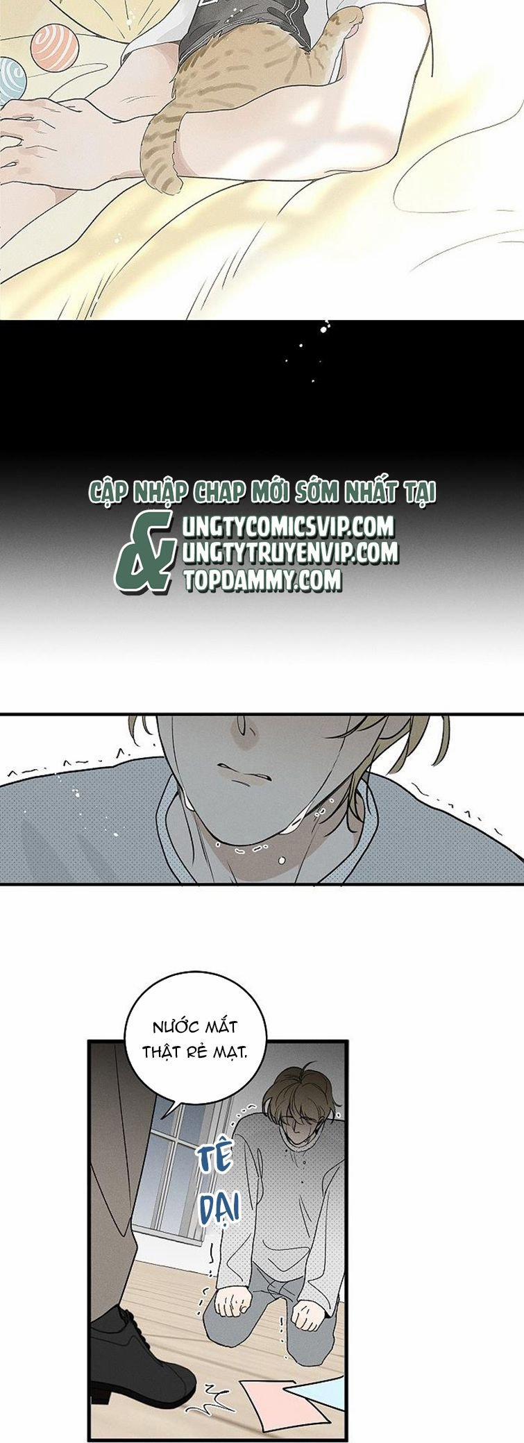 Diêm Hữu 60 trang 22