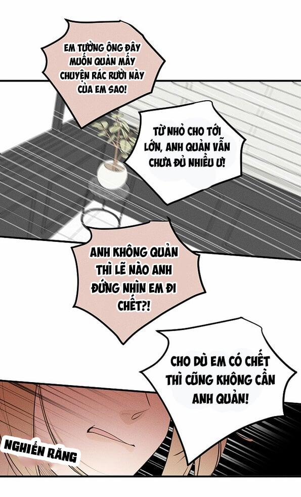 Diêm Hữu 61 trang 17