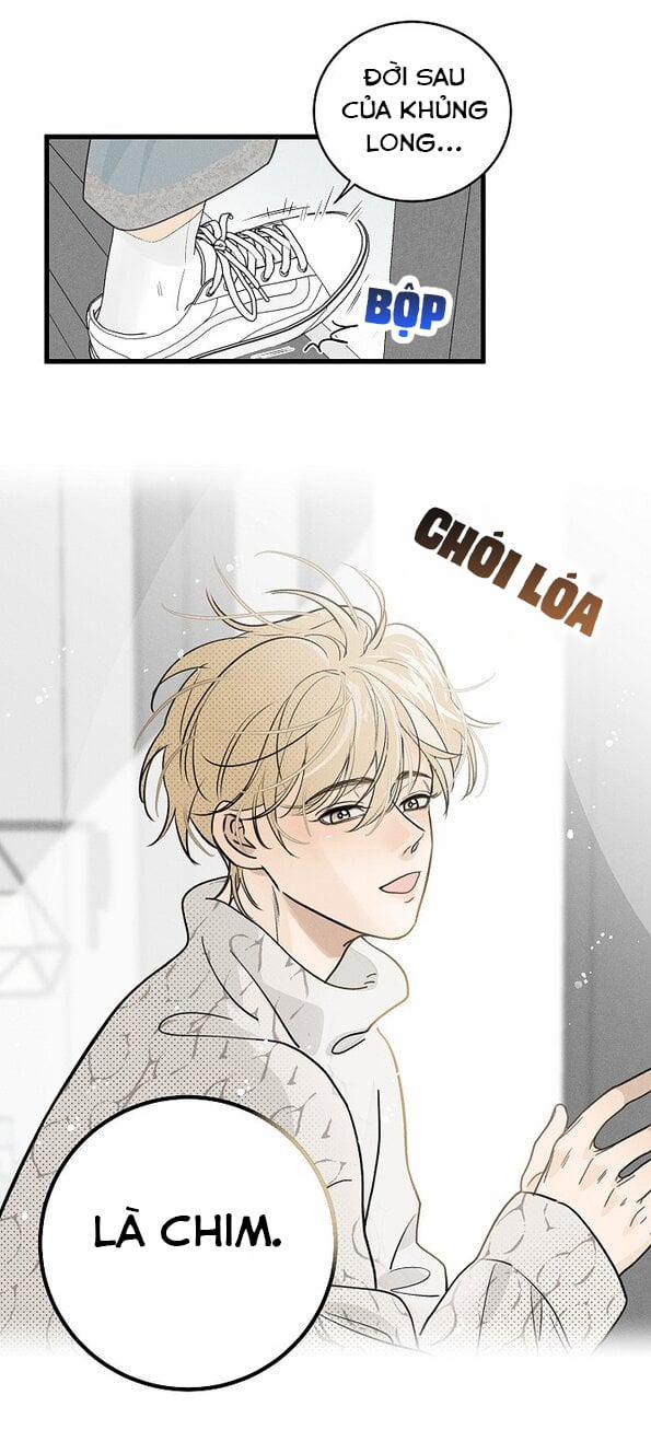 Diêm Hữu 61 trang 31