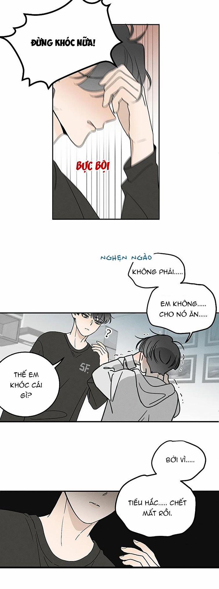 Diêm Hữu 65 trang 16