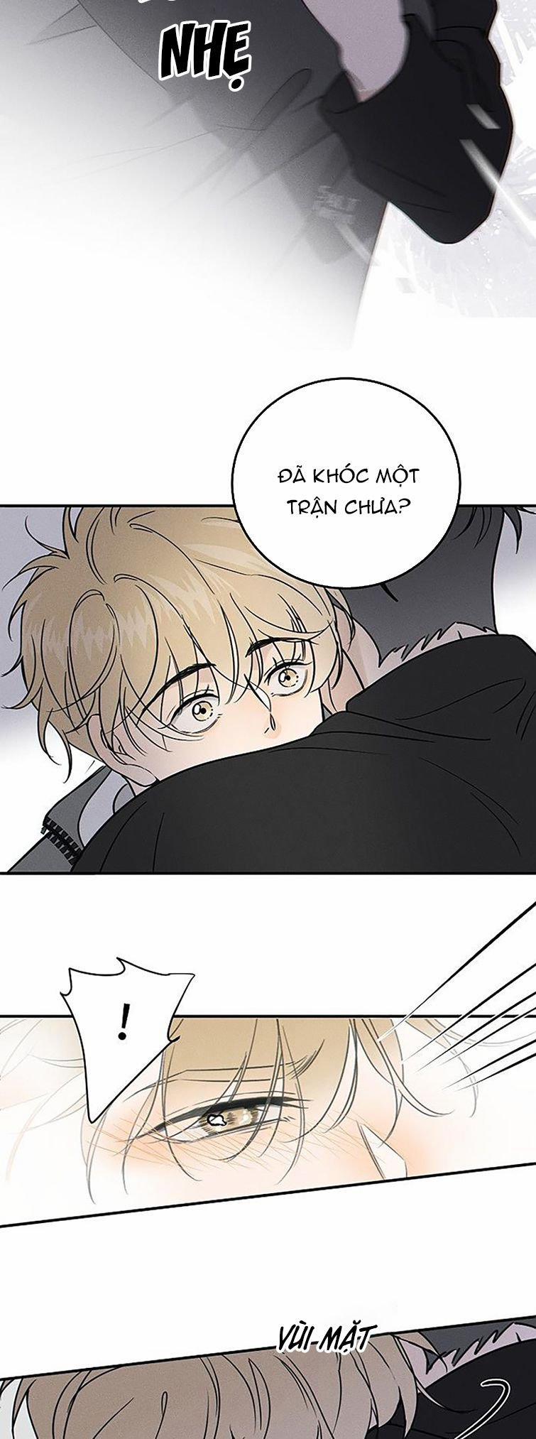 Diêm Hữu 65 trang 21