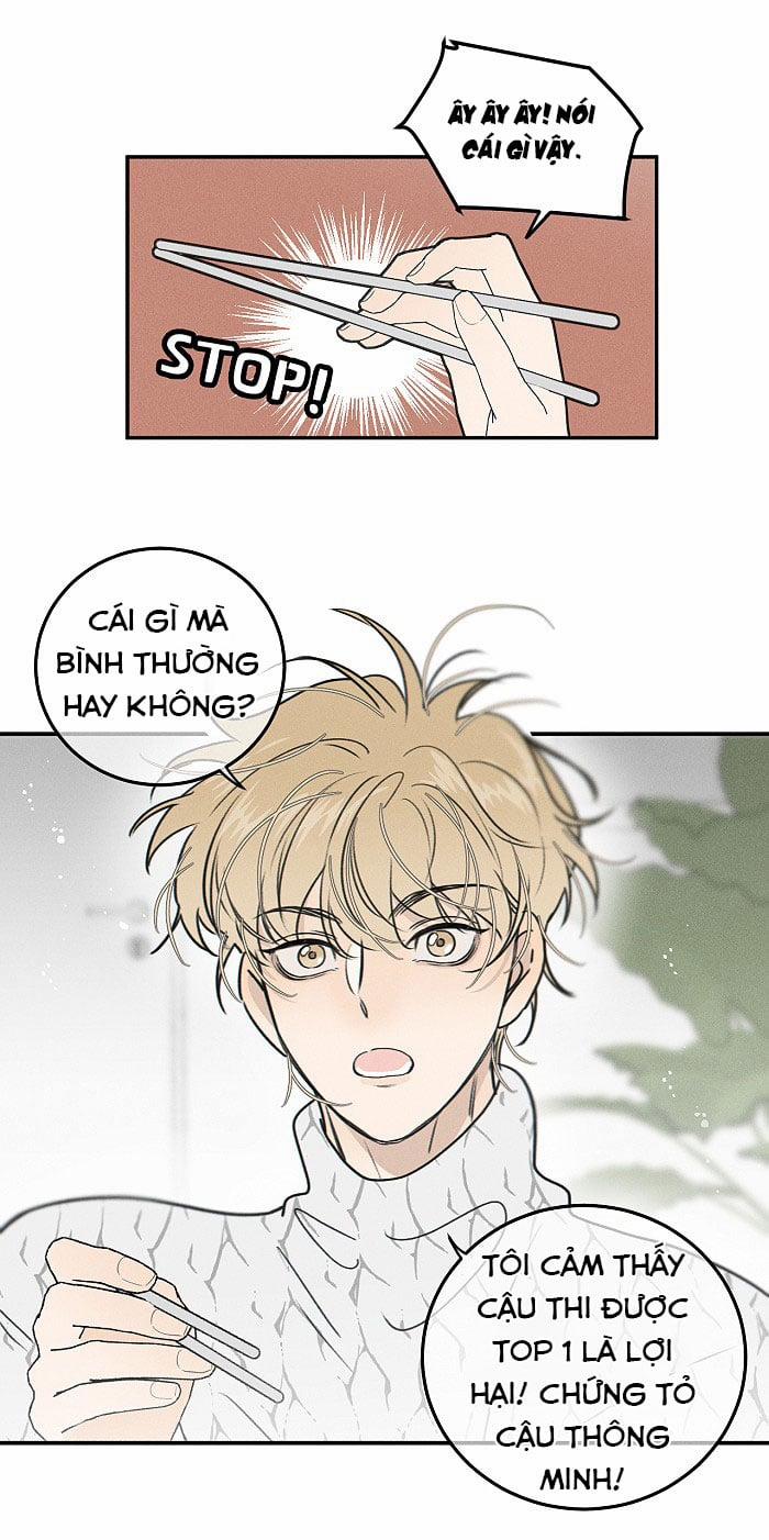 Diêm Hữu 66 trang 14