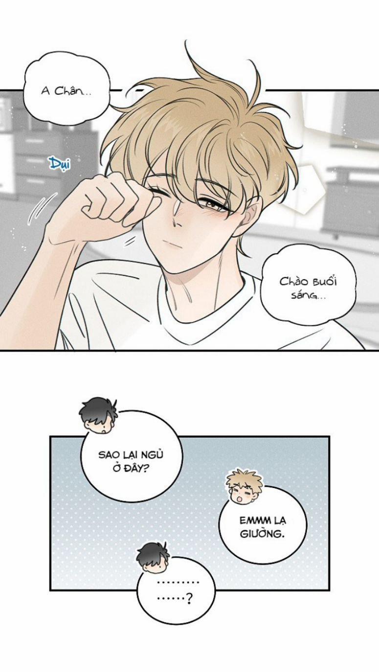 Diêm Hữu 68 trang 16