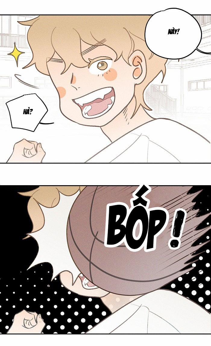 Diêm Hữu 8 trang 12